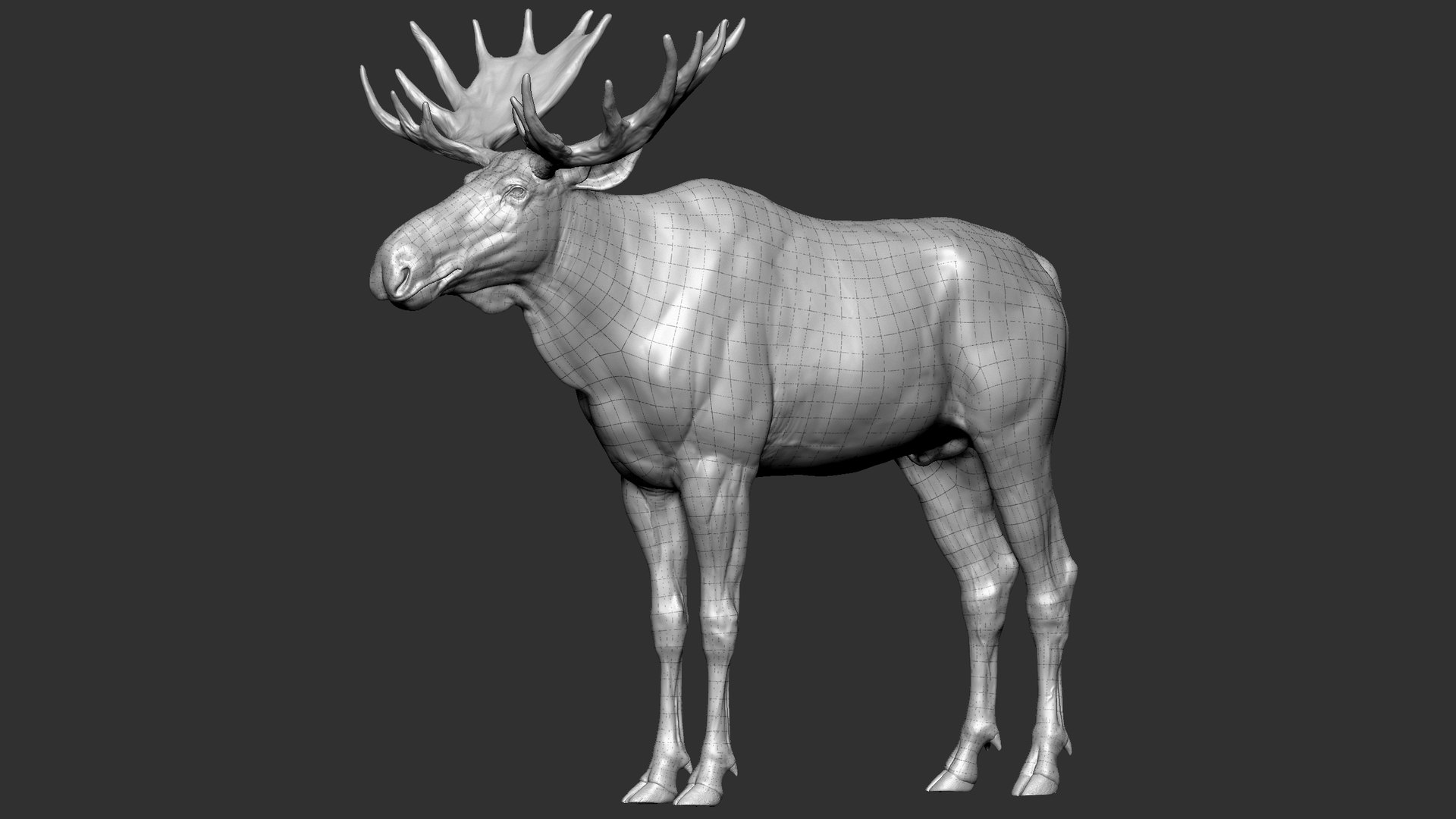 3D Moose VFX MUSCLE SIMULATION - TurboSquid 1886626