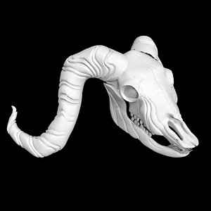 3D Buffalo skull model