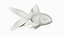 Gold fish Animated 3D