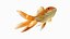 Gold fish Animated 3D