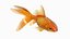 Gold fish Animated 3D