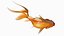 Gold fish Animated 3D