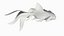 Gold fish Animated 3D
