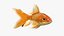 Gold fish Animated 3D