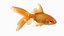 Gold fish Animated 3D