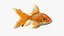 Gold fish Animated 3D