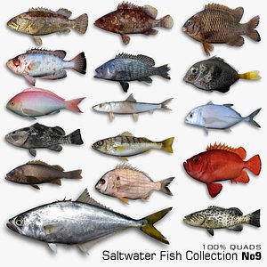Saltwater Fish Collection 9 model