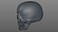FRASCO DE VIDRO SKULL_L765