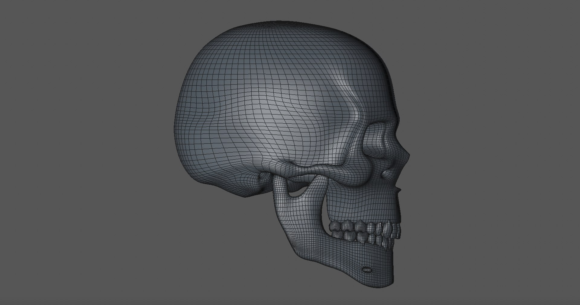 skull l765 3D model https://p.turbosquid.com/ts-thumb/YO/n8n9iJ/IuhaeSSh/screenshot20200601at7.24.51pm/png/1591927322/1920x1080/fit_q87/68d862fd74635c0c16d665d77a0955681210ad63/screenshot20200601at7.24.51pm.jpg