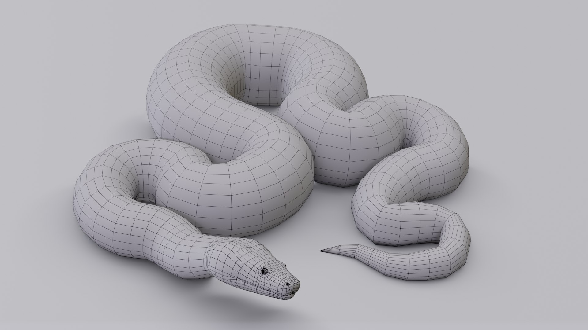 3D Burmese Python Mesh - TurboSquid 1775177