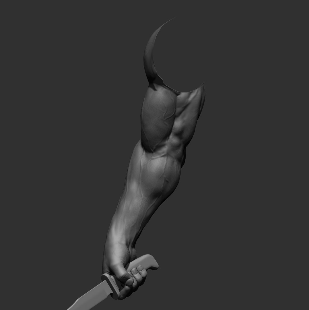 Male arms 3D https://p.turbosquid.com/ts-thumb/YP/0GrBza/0P/12/jpg/1636041680/1920x1080/fit_q87/32893c97740a5c3c604516021290ebd6ac8a9833/12.jpg