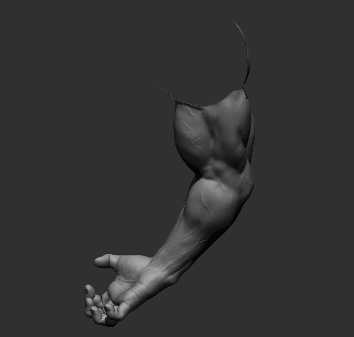 Male arms 3D https://p.turbosquid.com/ts-thumb/YP/0GrBza/0n/37/jpg/1636041688/1920x1080/fit_q87/c430ac379ea124005edcd7d721eb97e19094aa4c/37.jpg