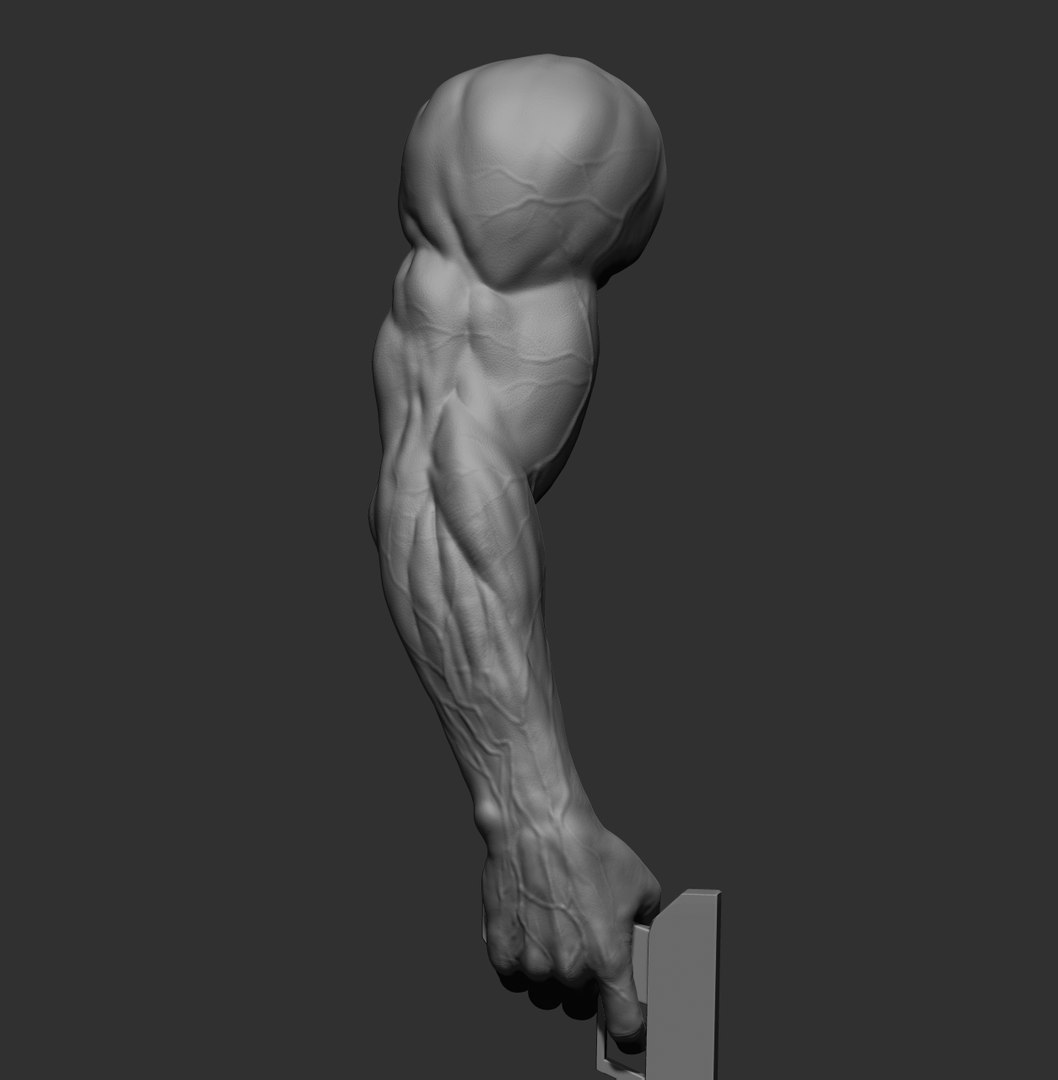 Male arms 3D https://p.turbosquid.com/ts-thumb/YP/0GrBza/1N/15/jpg/1636041682/1920x1080/fit_q87/e0411425d69c678bf3e2356b009ac6809540a960/15.jpg