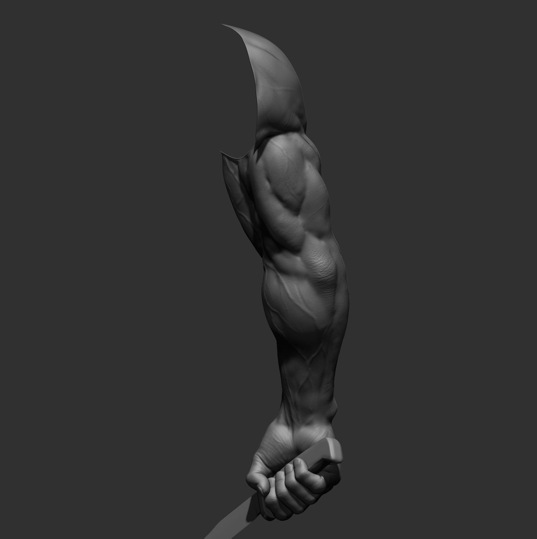 Male arms 3D https://p.turbosquid.com/ts-thumb/YP/0GrBza/3z/13/jpg/1636041680/1920x1080/fit_q87/d5a6cc0d65039c29e541bdc71ea41be519182cb8/13.jpg