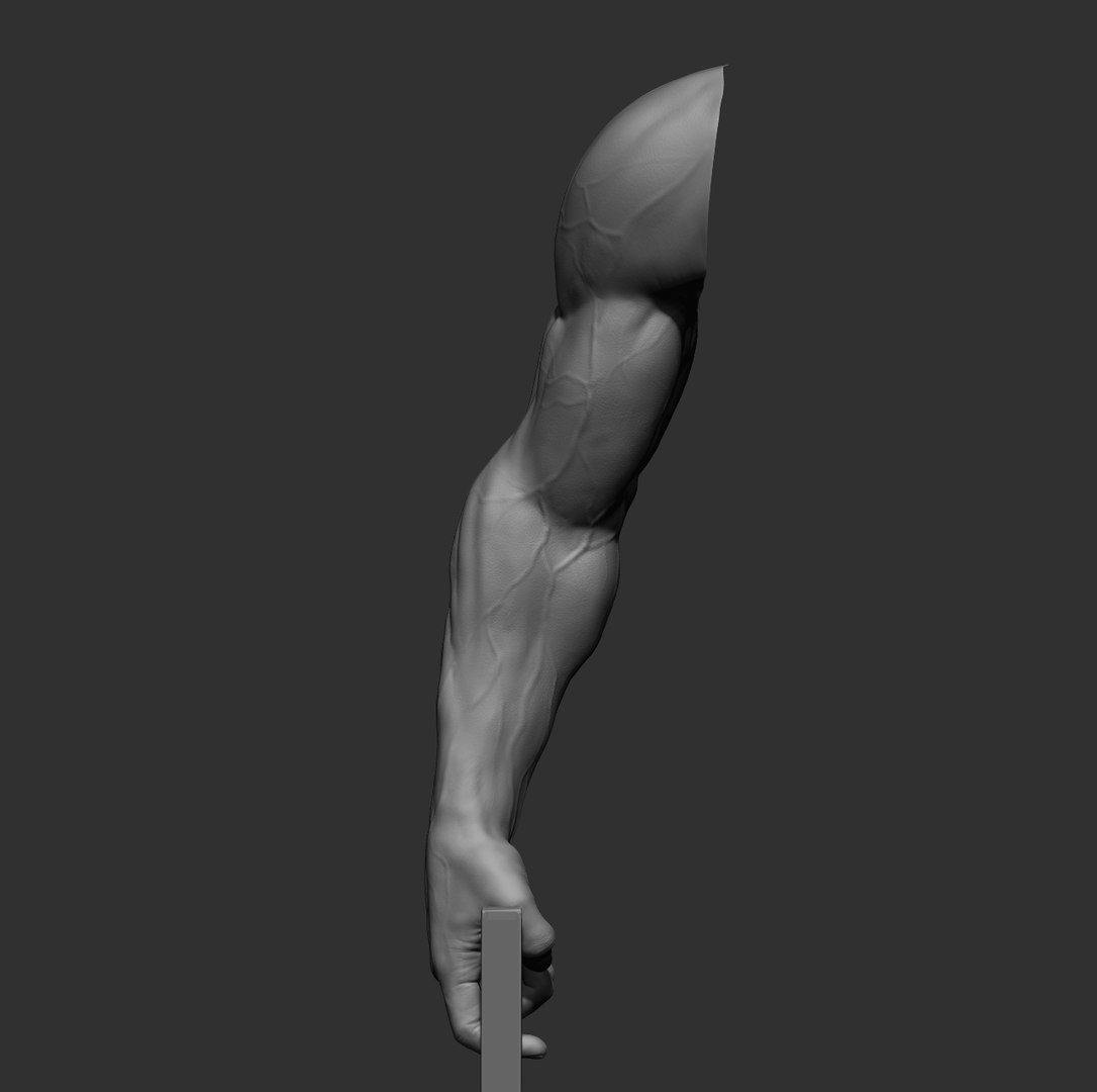Male arms 3D https://p.turbosquid.com/ts-thumb/YP/0GrBza/40/17/jpg/1636041680/1920x1080/fit_q87/33b373a24173050258e99e6edfbff2258a05c69f/17.jpg
