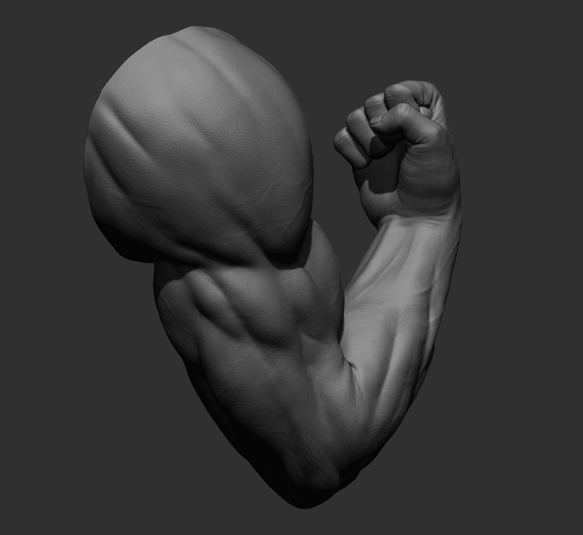 Male arms 3D https://p.turbosquid.com/ts-thumb/YP/0GrBza/5M/52/jpg/1636041698/1920x1080/fit_q87/fb6b5c7281f6b9c5ff02e030148f18eb6b0b474e/52.jpg