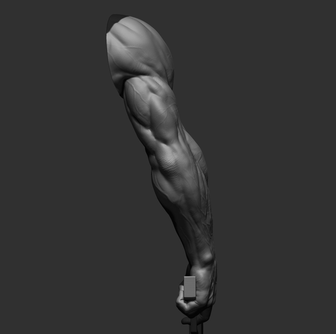 Male arms 3D https://p.turbosquid.com/ts-thumb/YP/0GrBza/5N/18/jpg/1636041683/1920x1080/fit_q87/c58491cd7005dbf277632f3a040cc8398c783cb4/18.jpg