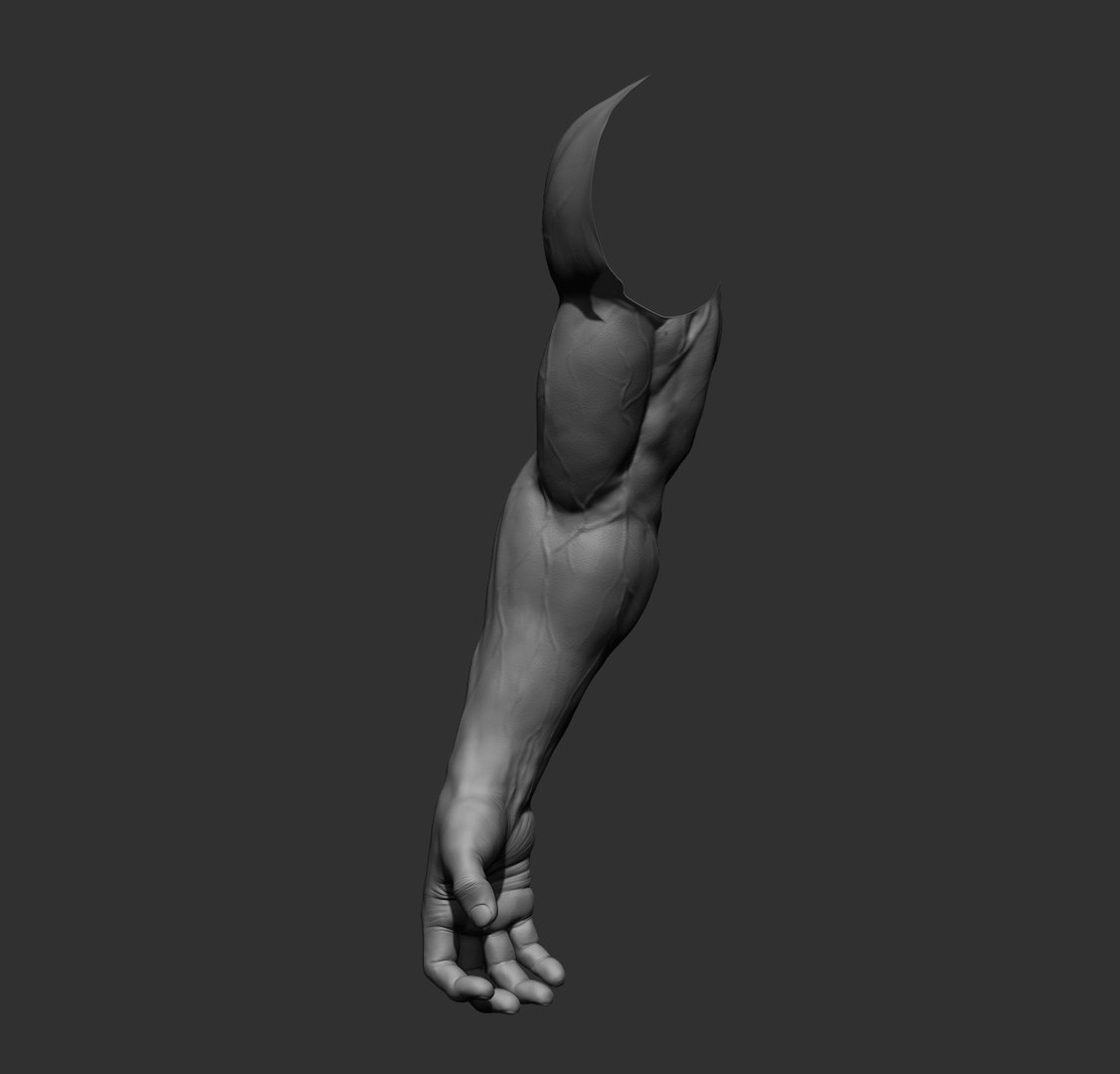 Male arms 3D https://p.turbosquid.com/ts-thumb/YP/0GrBza/6L/24/jpg/1636041680/1920x1080/fit_q87/9131f72e801399cf56fcc5cc23120946dd73b53a/24.jpg