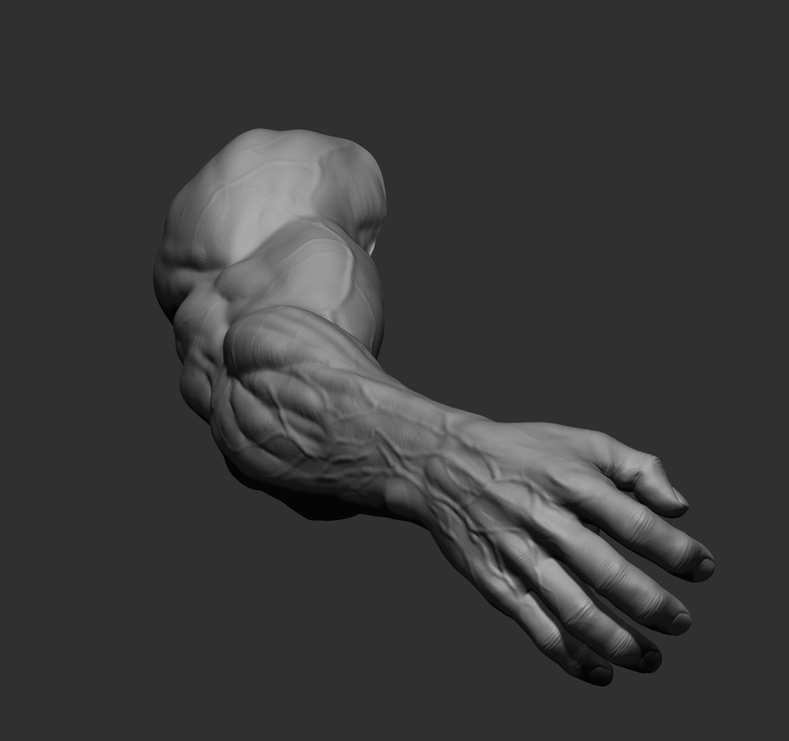 Male arms 3D https://p.turbosquid.com/ts-thumb/YP/0GrBza/8m/21/jpg/1636041691/1920x1080/fit_q87/567e62f22c08b62bbf1c99e8f36a6c5126eccbca/21.jpg