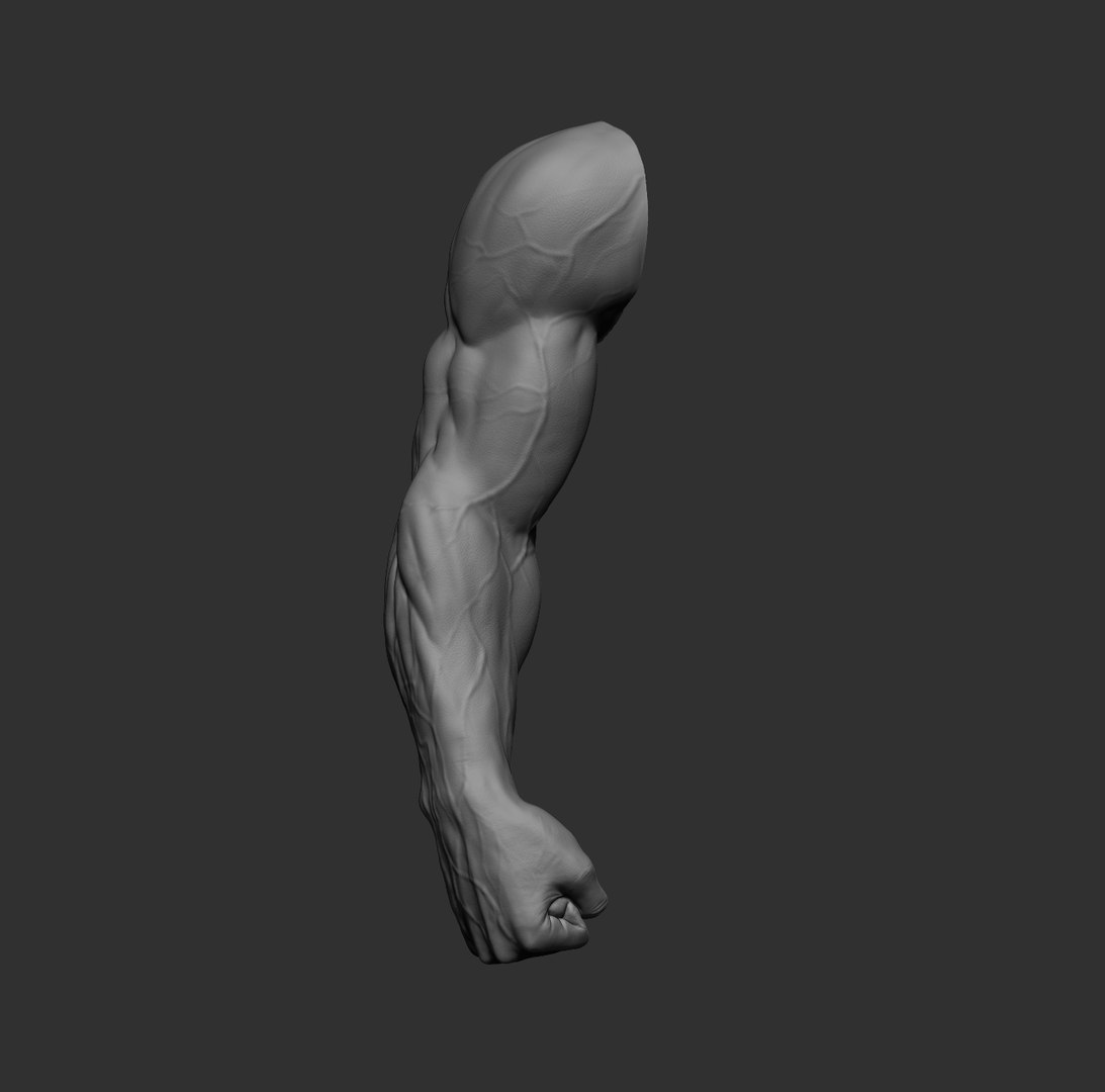 Male arms 3D https://p.turbosquid.com/ts-thumb/YP/0GrBza/9r/6/jpg/1636041678/1920x1080/fit_q87/09dadf1d87bf110f0e1b712668b9f0561590b620/6.jpg