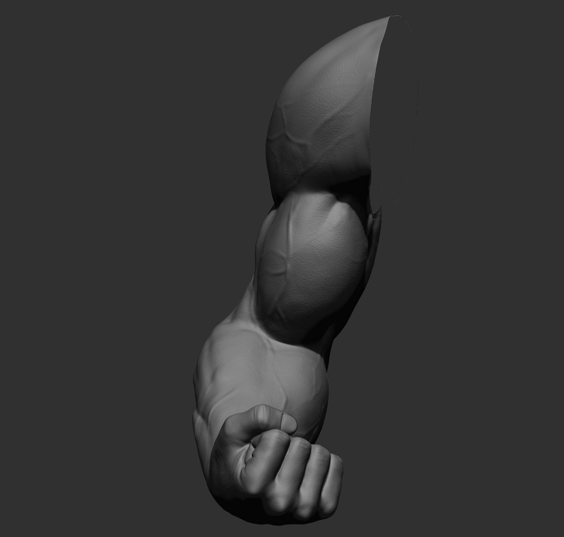Male arms 3D https://p.turbosquid.com/ts-thumb/YP/0GrBza/B0/43/jpg/1636041690/1920x1080/fit_q87/2cd2063d1186eb588ceb5933d4ddb6db76f2329f/43.jpg