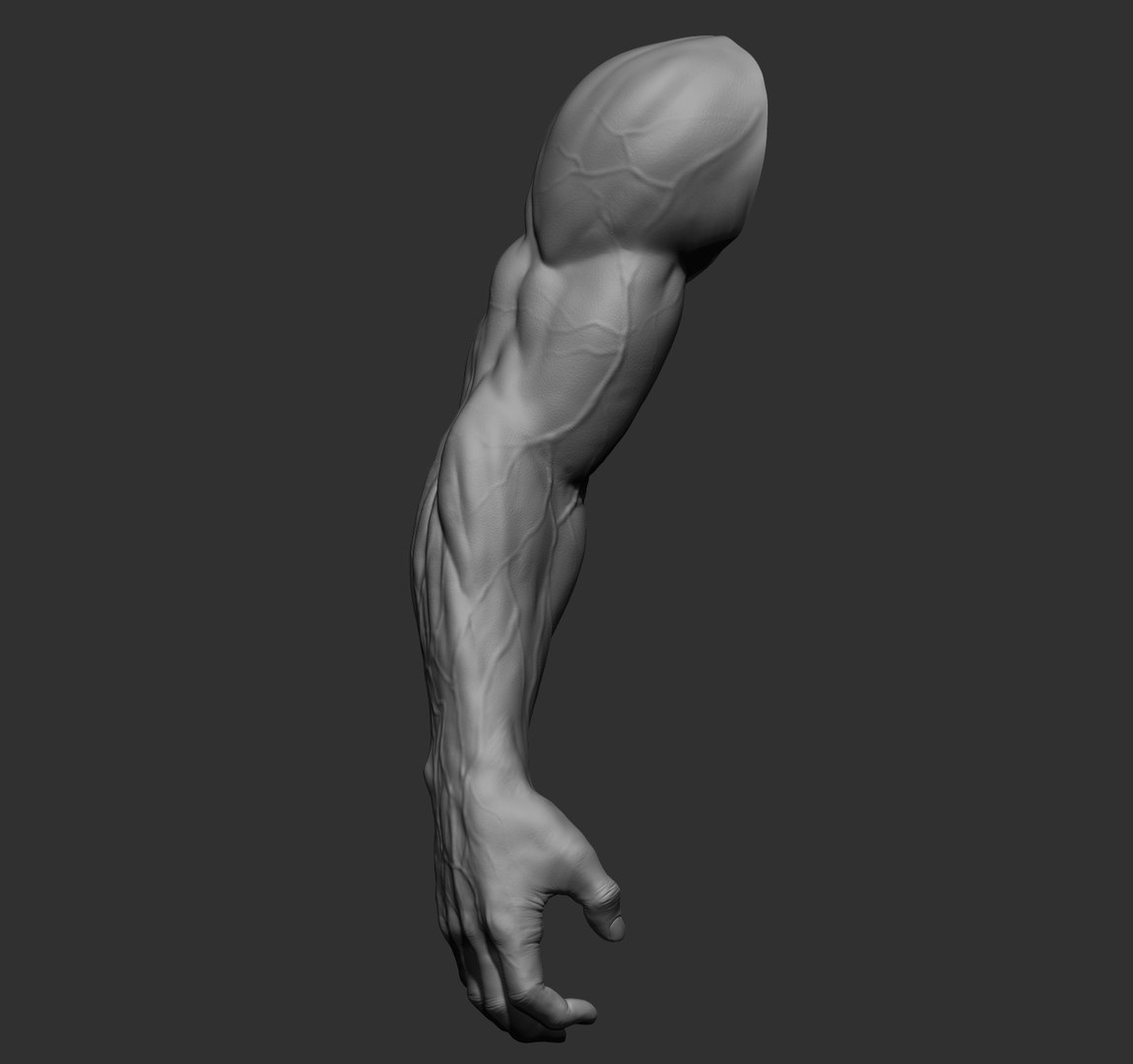 Male arms 3D https://p.turbosquid.com/ts-thumb/YP/0GrBza/BE/23/jpg/1636041684/1920x1080/fit_q87/0c7cd482f0250d6aed28c999e521c346902ac99d/23.jpg