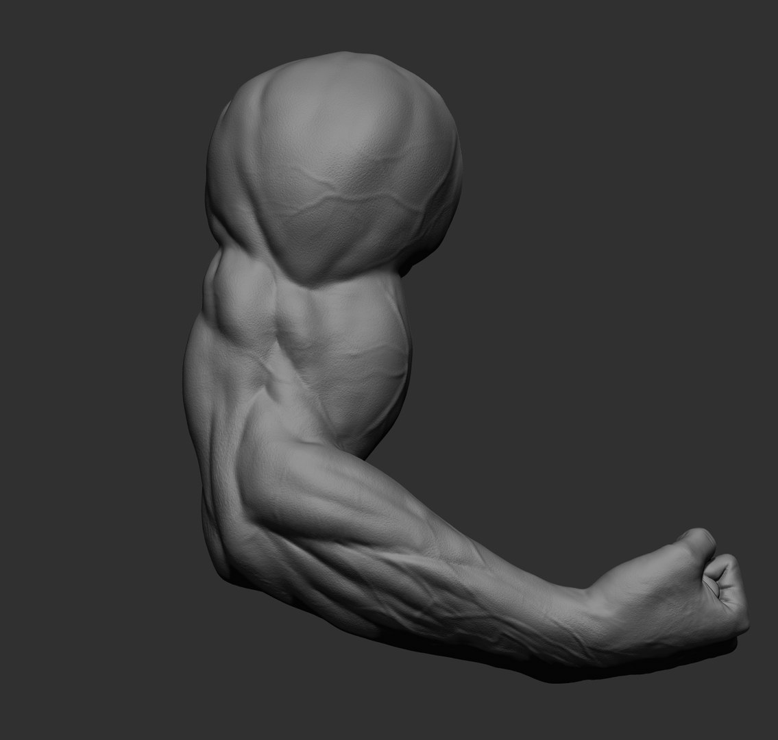 Male arms 3D https://p.turbosquid.com/ts-thumb/YP/0GrBza/Dd/41/jpg/1636041695/1920x1080/fit_q87/8150a3265f9c0696987f17f955423b3713675717/41.jpg