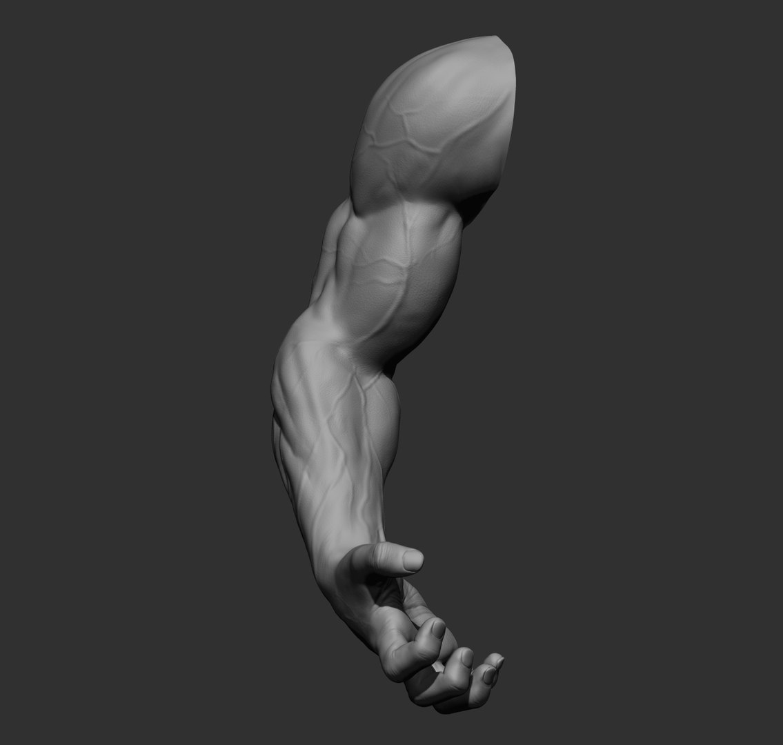 Male arms 3D https://p.turbosquid.com/ts-thumb/YP/0GrBza/EJ/34/jpg/1636041687/1920x1080/fit_q87/485fb247ddb5cf68936244cebefd67227330b0f6/34.jpg
