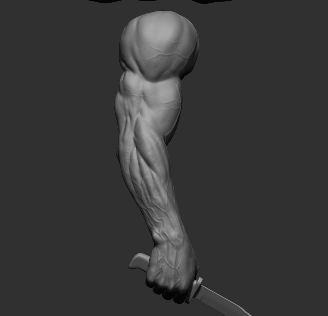 Male arms 3D https://p.turbosquid.com/ts-thumb/YP/0GrBza/JN/10/jpg/1636041682/1920x1080/fit_q87/e5e9cf8d94f46ef46ed5e273b03e41acdad29be2/10.jpg