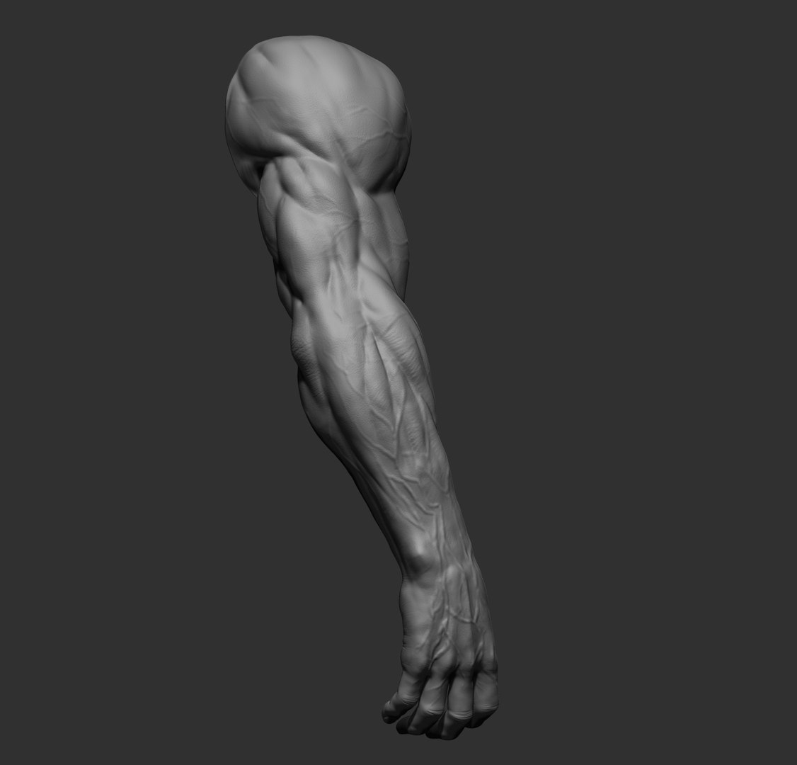 Male arms 3D https://p.turbosquid.com/ts-thumb/YP/0GrBza/Jc/27/jpg/1636041684/1920x1080/fit_q87/46e426b219505ff55393dcfeb188116906eb88fa/27.jpg