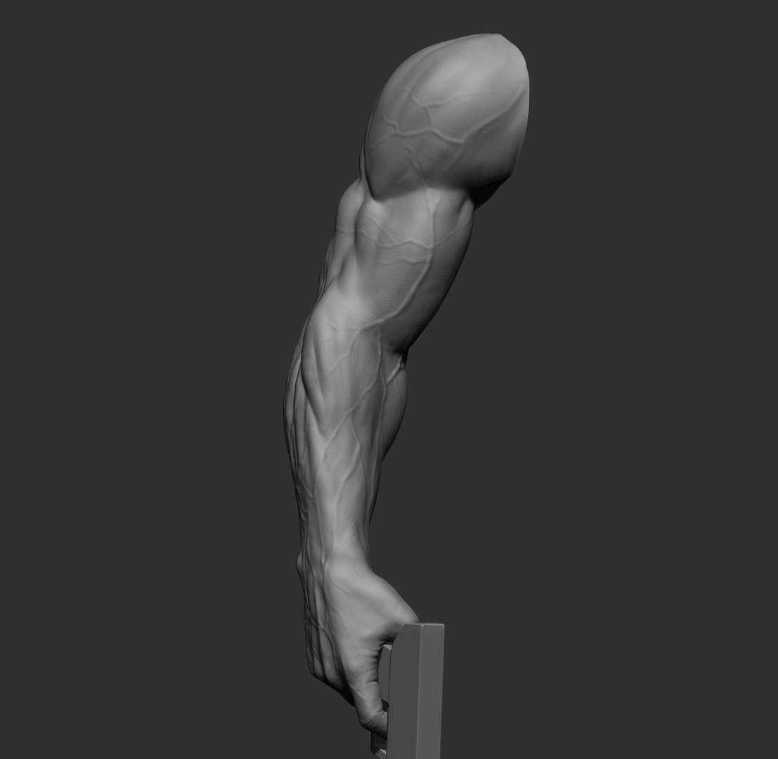 Male arms 3D https://p.turbosquid.com/ts-thumb/YP/0GrBza/Ln/16/jpg/1636041683/1920x1080/fit_q87/cdf2bf83b530e0c484e276adc182755d27ad38d2/16.jpg