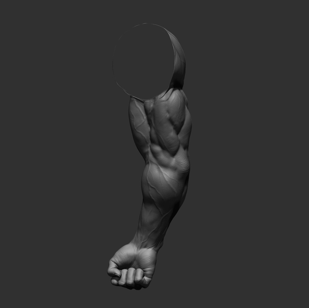 Male arms 3D https://p.turbosquid.com/ts-thumb/YP/0GrBza/NW/8/jpg/1636041679/1920x1080/fit_q87/944cac7255b25ac028d7f0dfd04a1e10f219ad96/8.jpg