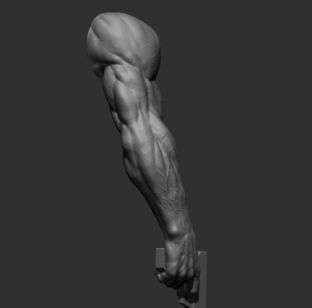Male arms 3D https://p.turbosquid.com/ts-thumb/YP/0GrBza/Nx/19/jpg/1636041683/1920x1080/fit_q87/d97464ee65b95dc14e378e84767de4c9d620b986/19.jpg
