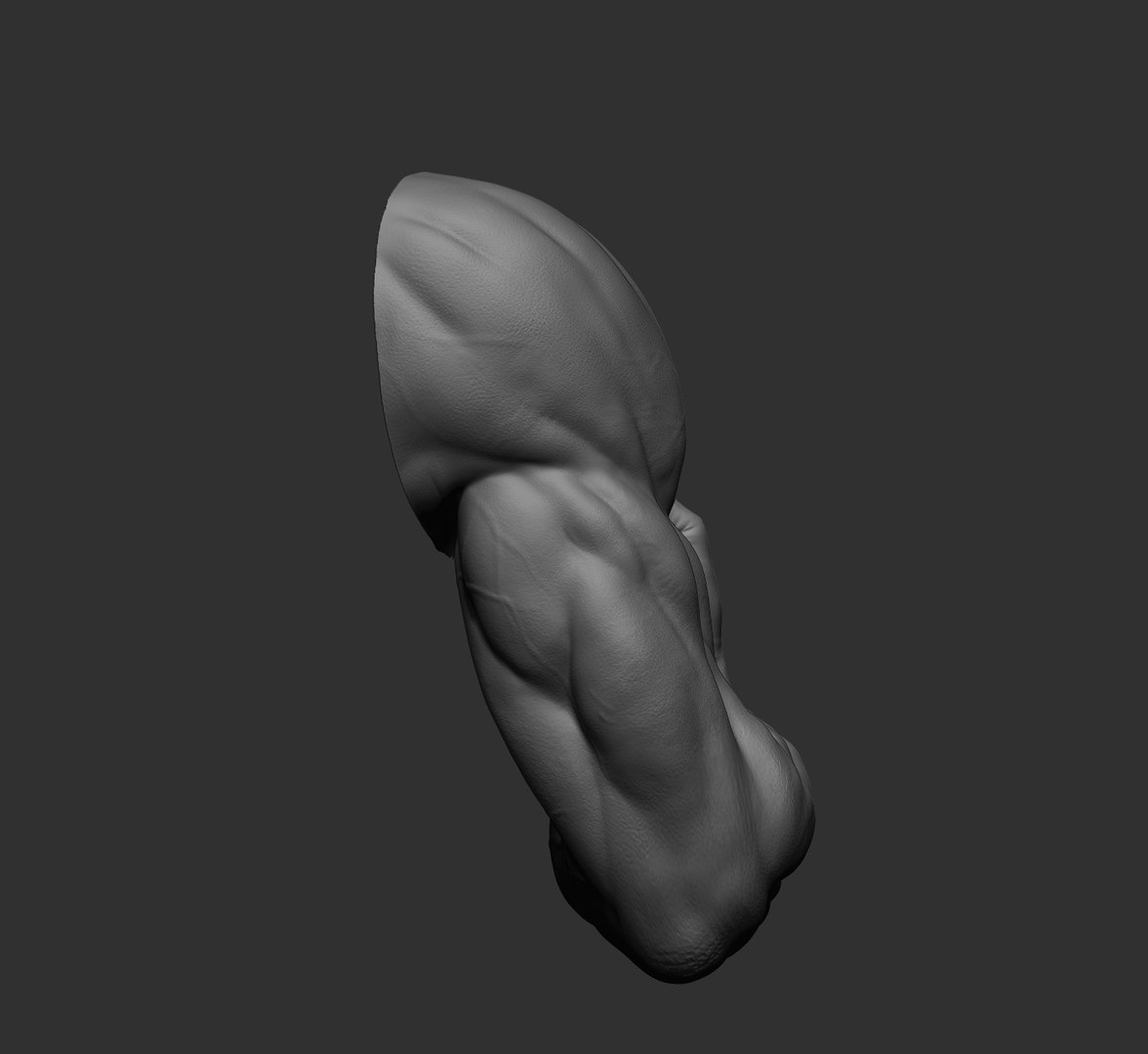 Male arms 3D https://p.turbosquid.com/ts-thumb/YP/0GrBza/S5/51/jpg/1636041691/1920x1080/fit_q87/98c56d23057e0b736d578a3445026b4ac05ec90e/51.jpg