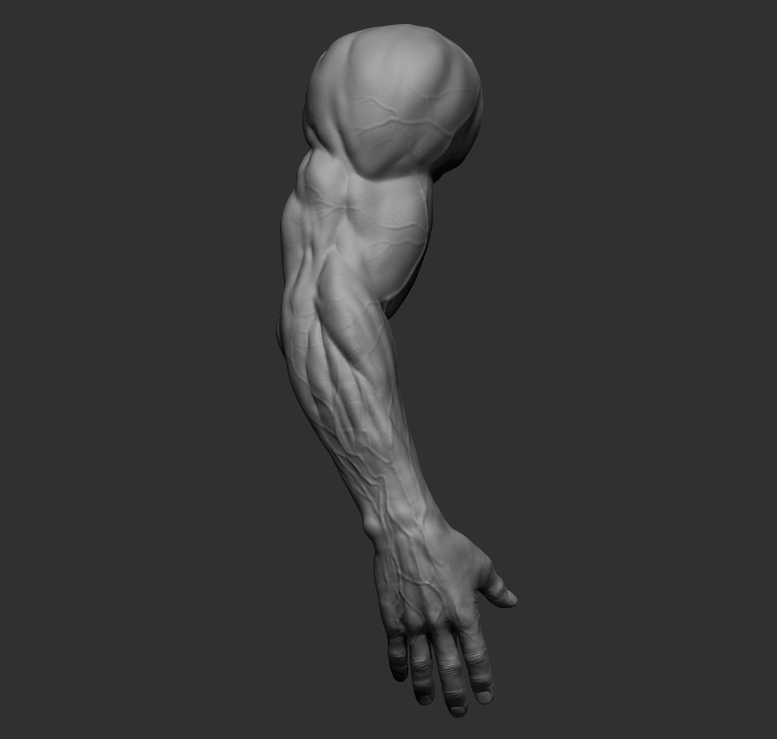 Male arms 3D https://p.turbosquid.com/ts-thumb/YP/0GrBza/Tj/28/jpg/1636041684/1920x1080/fit_q87/c5124d7f792cd83bc9fbf18c8553494c0705d23b/28.jpg