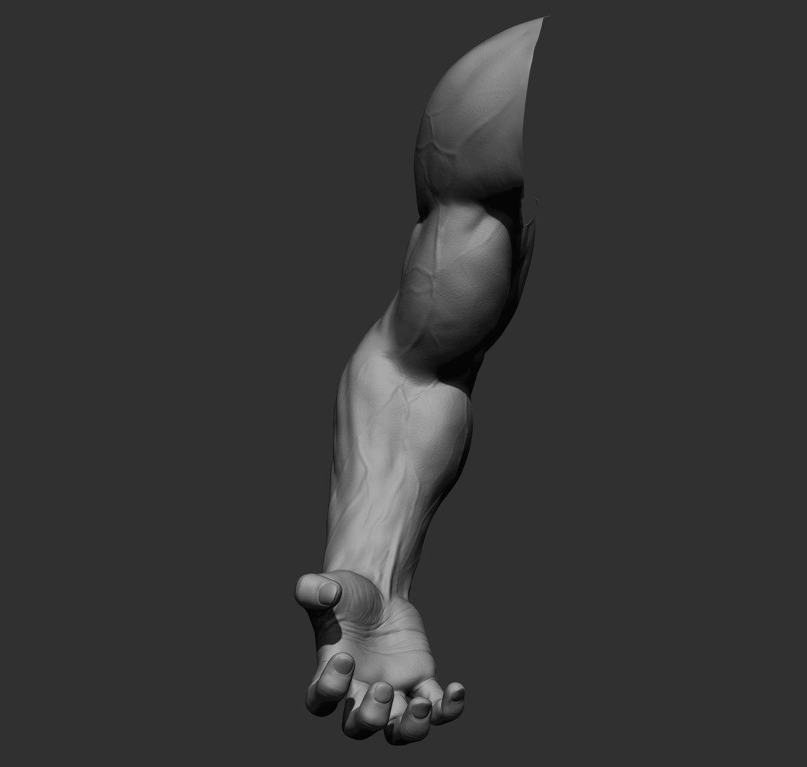 Male arms 3D https://p.turbosquid.com/ts-thumb/YP/0GrBza/Uq/35/jpg/1636041688/1920x1080/fit_q87/0819c48eadf37e9868f096d42030f0c94fc8233c/35.jpg