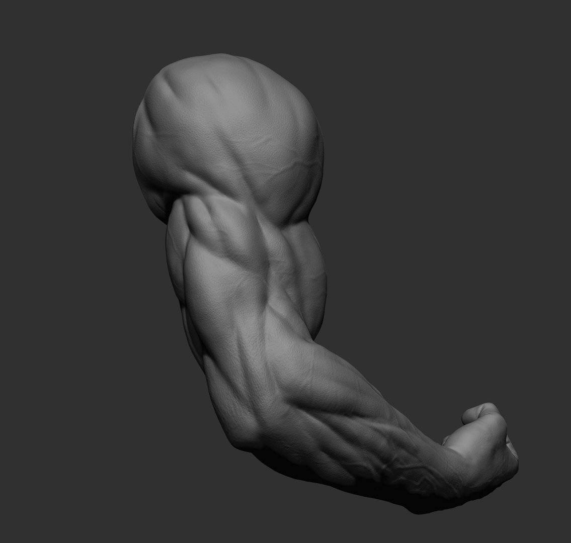 Male arms 3D https://p.turbosquid.com/ts-thumb/YP/0GrBza/Zc/45/jpg/1636041705/1920x1080/fit_q87/d6cf16901fa3596954cbf70de37cb5e383fc09c6/45.jpg