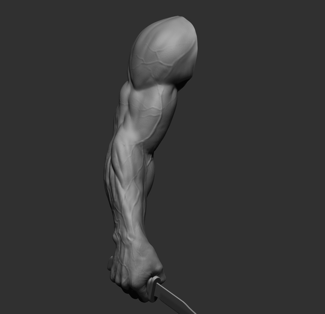 Male arms 3D https://p.turbosquid.com/ts-thumb/YP/0GrBza/ak/11/jpg/1636041681/1920x1080/fit_q87/4c6b96d7722e4256513f2adba465371f3868d844/11.jpg