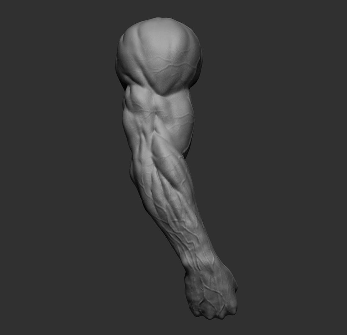 Male arms 3D https://p.turbosquid.com/ts-thumb/YP/0GrBza/c5/5/jpg/1636041681/1920x1080/fit_q87/6ec0c45472532ea22feae9a8df33e648799d7538/5.jpg
