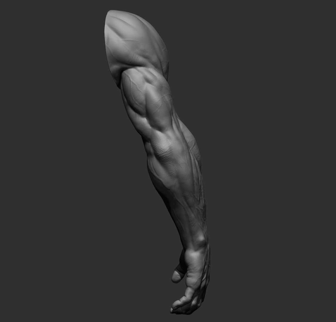 Male arms 3D https://p.turbosquid.com/ts-thumb/YP/0GrBza/cy/26/jpg/1636041684/1920x1080/fit_q87/41eae1a115d5ded6df49efc7f539881167382d11/26.jpg