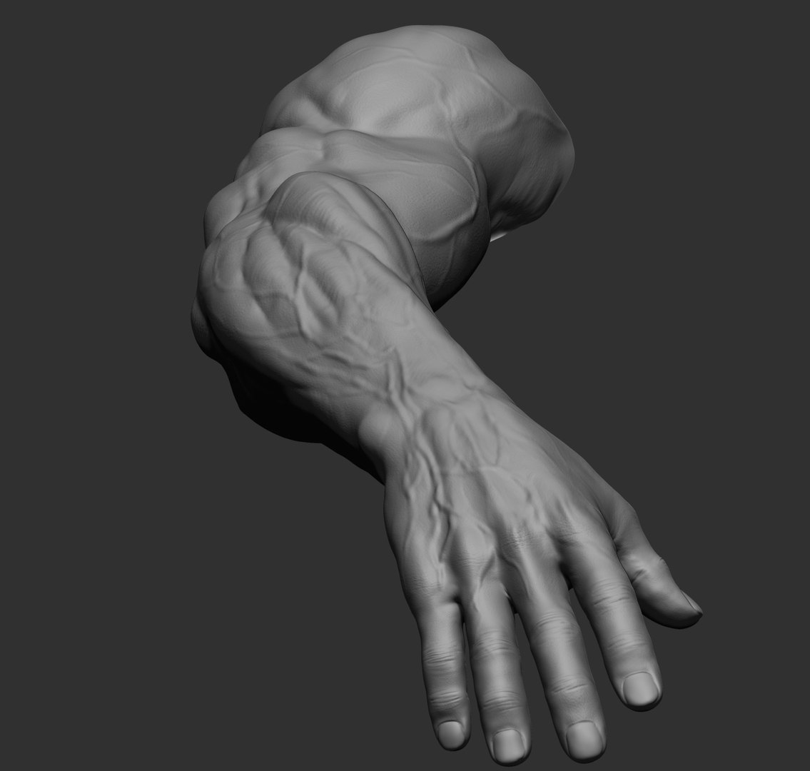 Male arms 3D https://p.turbosquid.com/ts-thumb/YP/0GrBza/fd/31/jpg/1636041695/1920x1080/fit_q87/22eaabb874a588e3d4ad4e13eb27acf6ea202c46/31.jpg