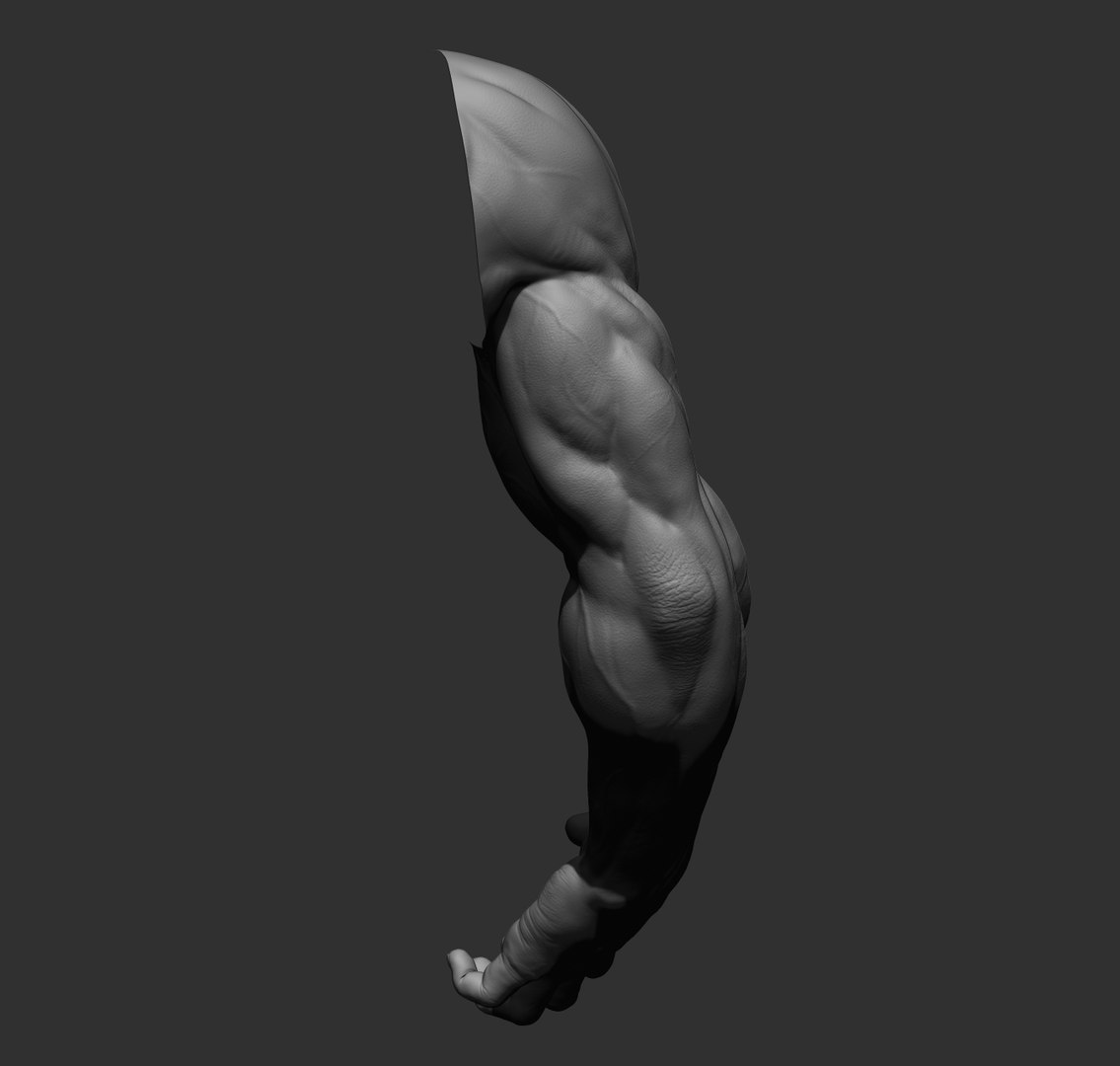 Male arms 3D https://p.turbosquid.com/ts-thumb/YP/0GrBza/jO/38/jpg/1636041688/1920x1080/fit_q87/fecd5451409bb61910e31642884f8fa12ee072f2/38.jpg