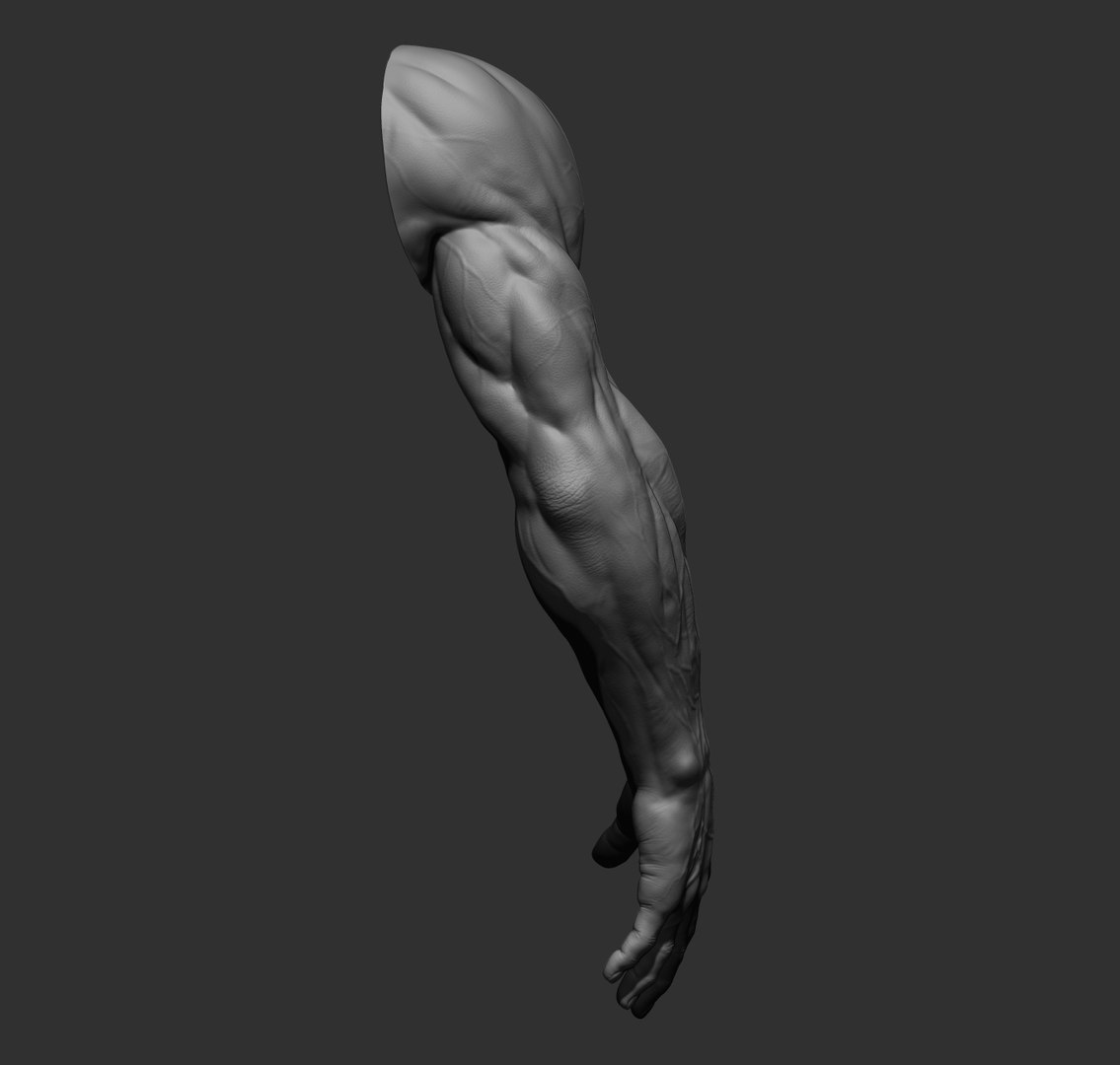 Male arms 3D https://p.turbosquid.com/ts-thumb/YP/0GrBza/o5/30/jpg/1636041684/1920x1080/fit_q87/c32bb0f8285807dc429a83fe572ba45b5f4d2027/30.jpg