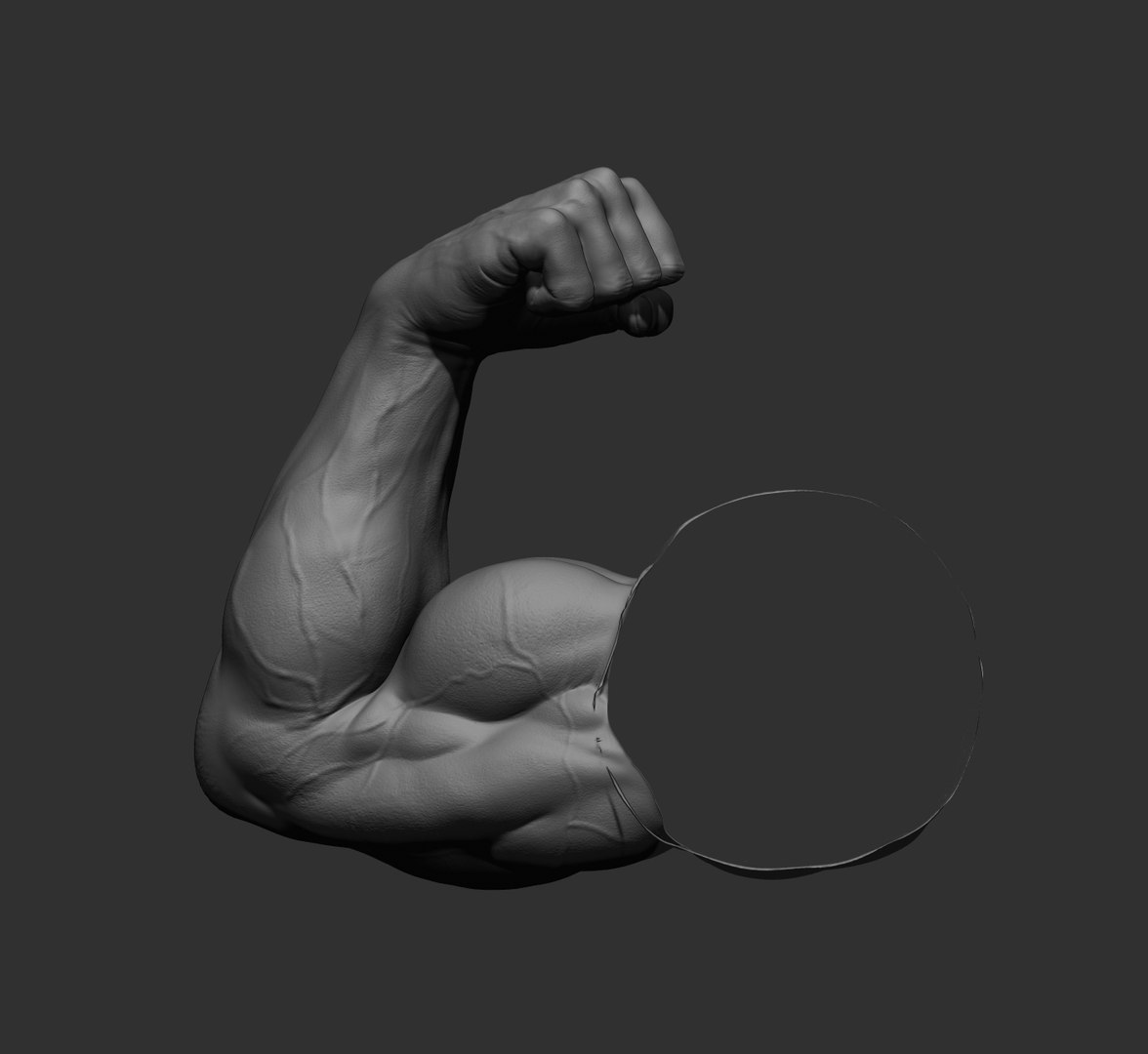 Male arms 3D https://p.turbosquid.com/ts-thumb/YP/0GrBza/oC/54/jpg/1636041692/1920x1080/fit_q87/d9eb7128221fcb6ae0fa615c8238d01840625ede/54.jpg