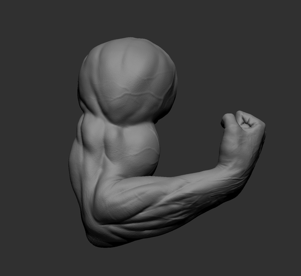 Male arms 3D https://p.turbosquid.com/ts-thumb/YP/0GrBza/sY/47/jpg/1636041706/1920x1080/fit_q87/3109ec948ca5ad29b3658a36b7f7e1d47921e77c/47.jpg