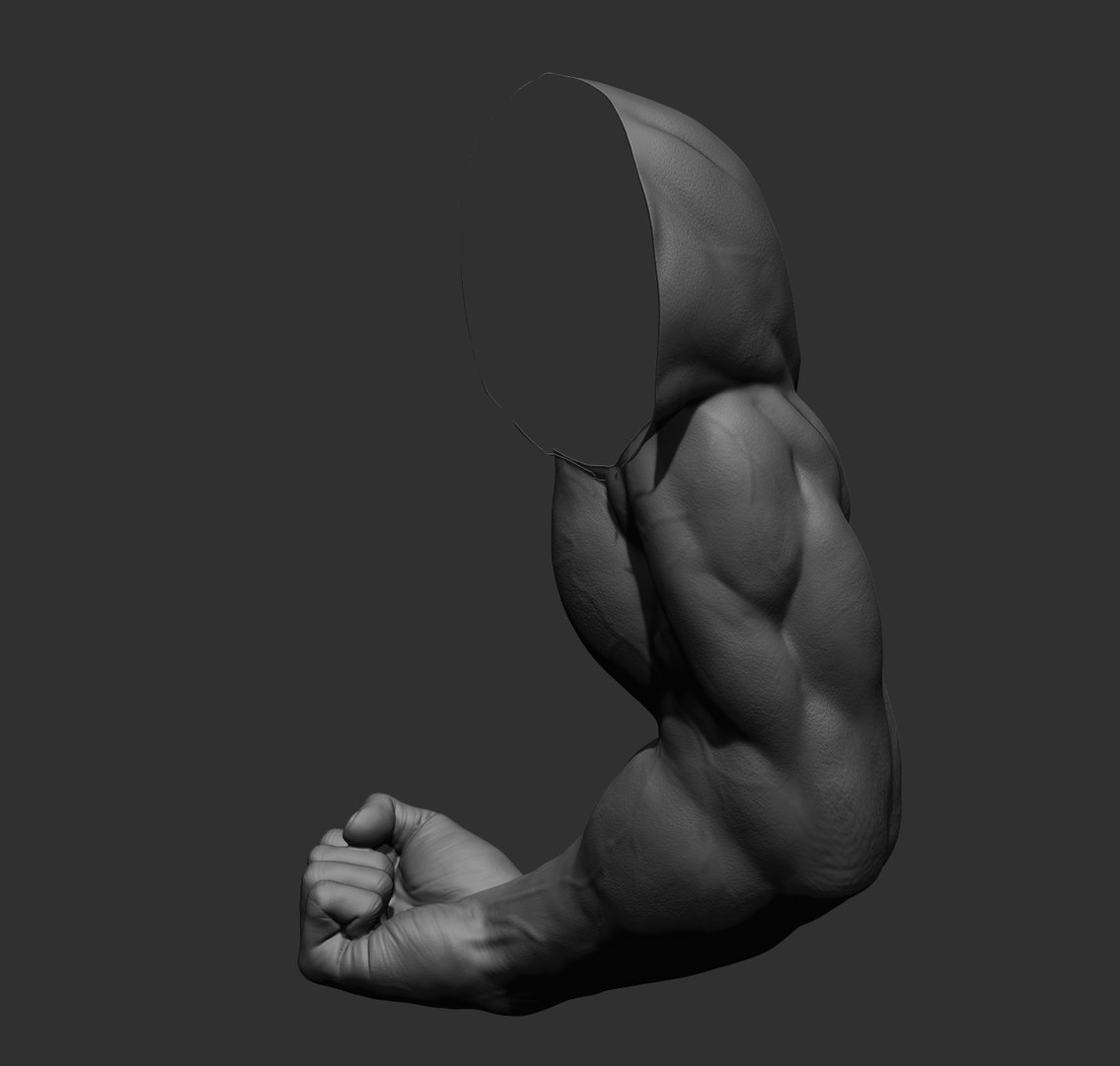 Male arms 3D https://p.turbosquid.com/ts-thumb/YP/0GrBza/v0/44/jpg/1636041697/1920x1080/fit_q87/f5752a304bd2b0ada0cccc1245919fdb093a058f/44.jpg