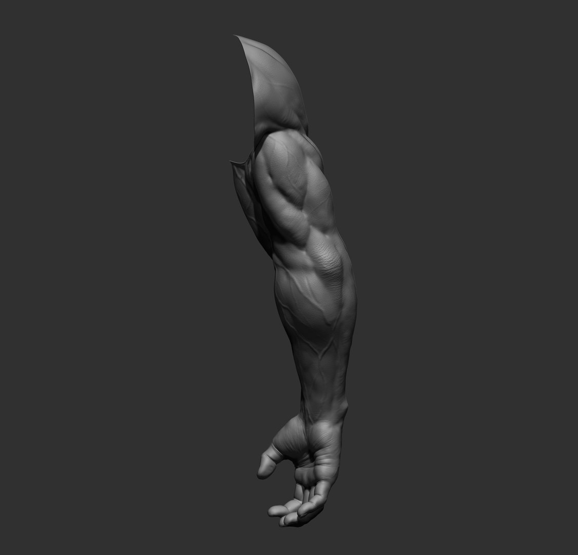 Male arms 3D https://p.turbosquid.com/ts-thumb/YP/0GrBza/wW/25/jpg/1636041681/1920x1080/fit_q87/a3a58eda48cb206fa5b57c2a3c880f6605eabc8b/25.jpg