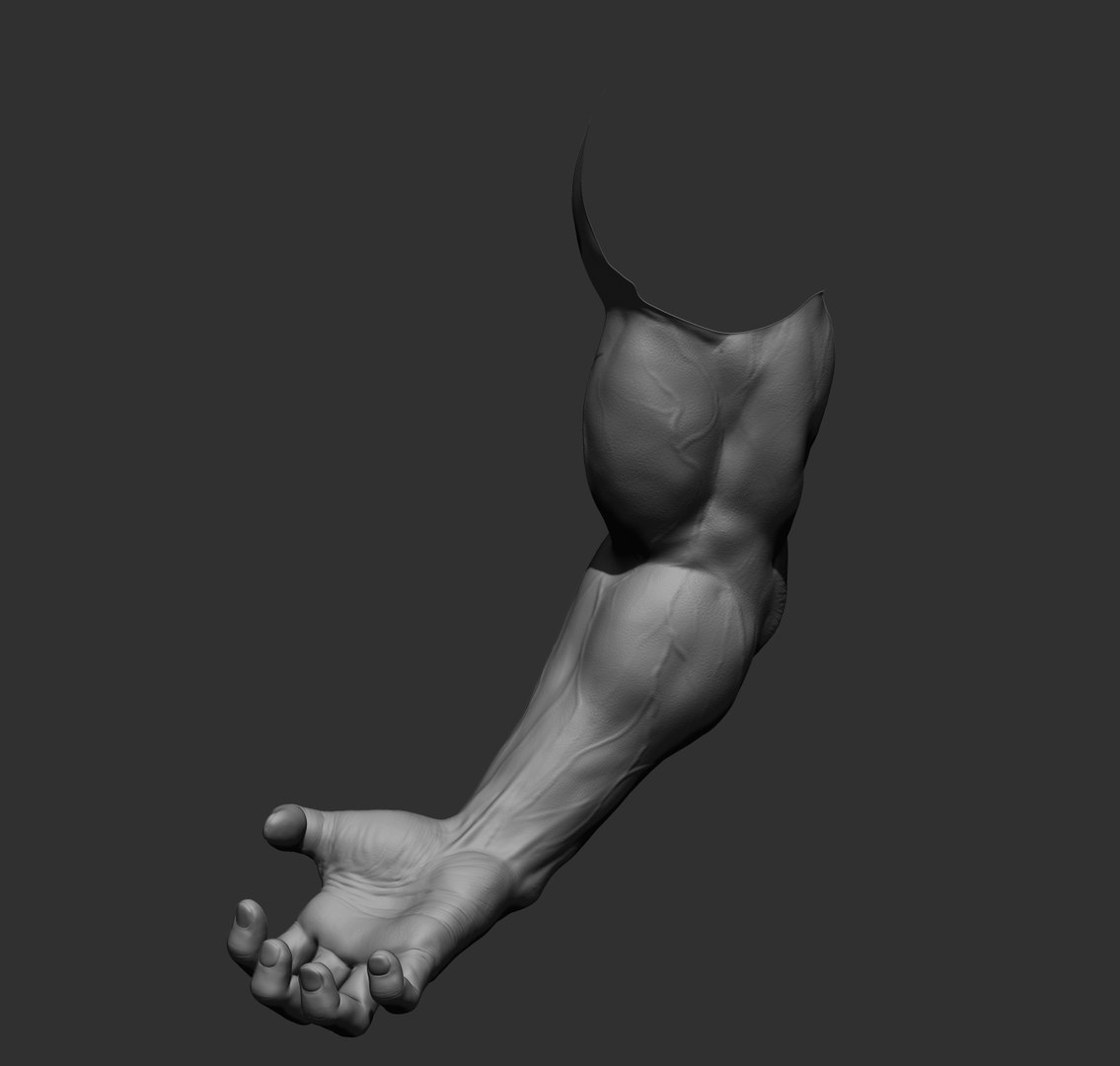 Male arms 3D https://p.turbosquid.com/ts-thumb/YP/0GrBza/wd/36/jpg/1636041688/1920x1080/fit_q87/632088535675400abf4278721fa5b2073b7edd1f/36.jpg