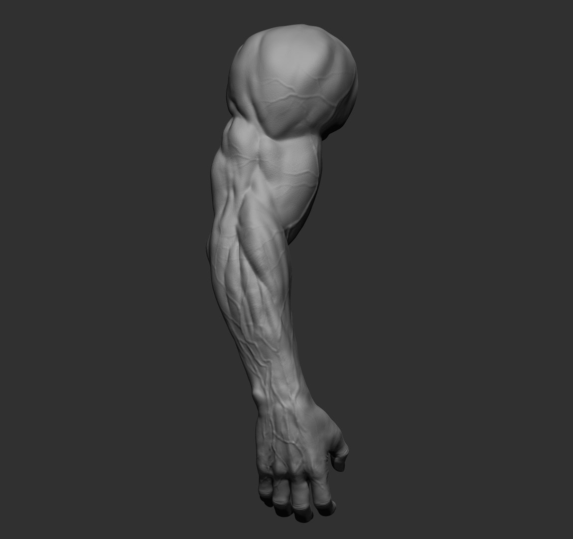 Male arms 3D https://p.turbosquid.com/ts-thumb/YP/0GrBza/xr/22/jpg/1636041683/1920x1080/fit_q87/b13f31f1ed7b772445fe98dec4aea7667bf4399f/22.jpg