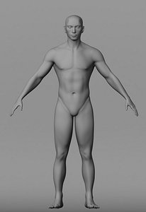 maya male body base mesh